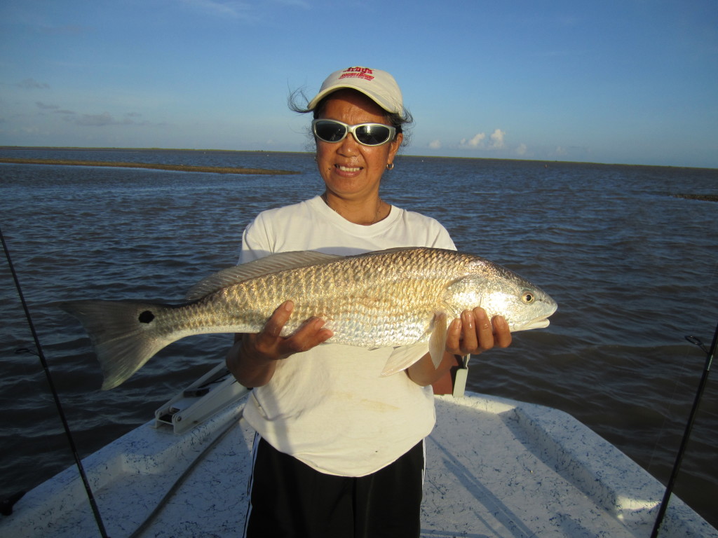 Sargent Redfish