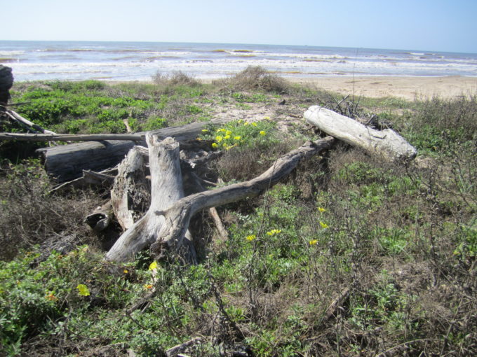 San Bernard Wildlife Refuge