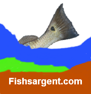 Fishsargent